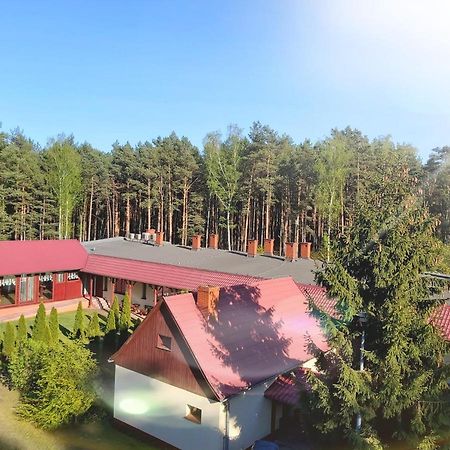 Drzewosfera Daire Wilcze  Dış mekan fotoğraf