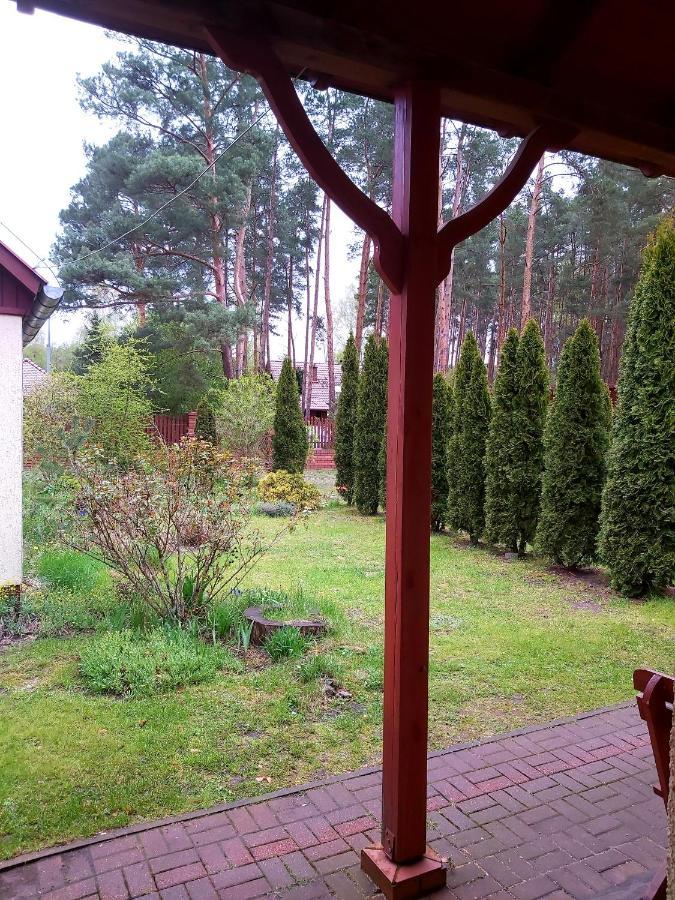 Drzewosfera Daire Wilcze  Dış mekan fotoğraf